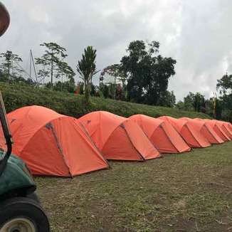 Wisata Bedugul - Glamour Camping Bedugul