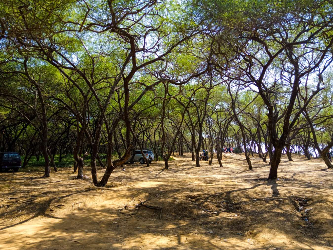 Wisata Pantai Tuban - Pantai Sowan