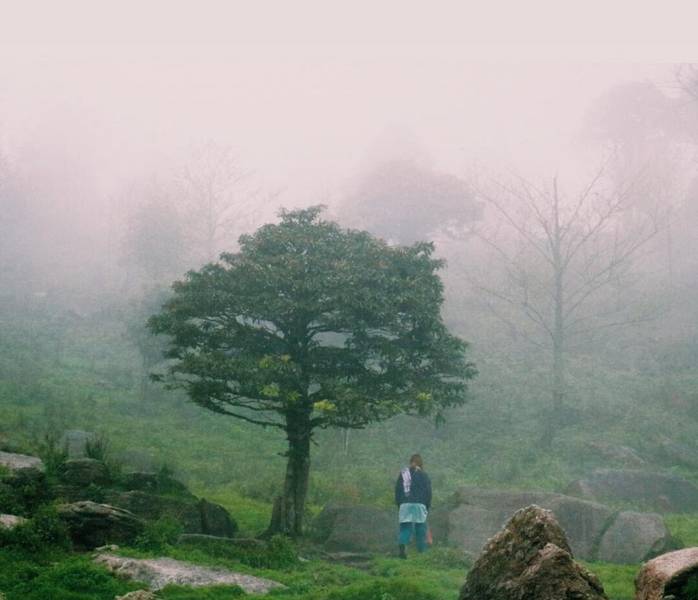 Hoàng Su Phì