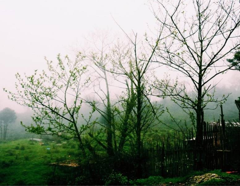 Hoàng Su Phì