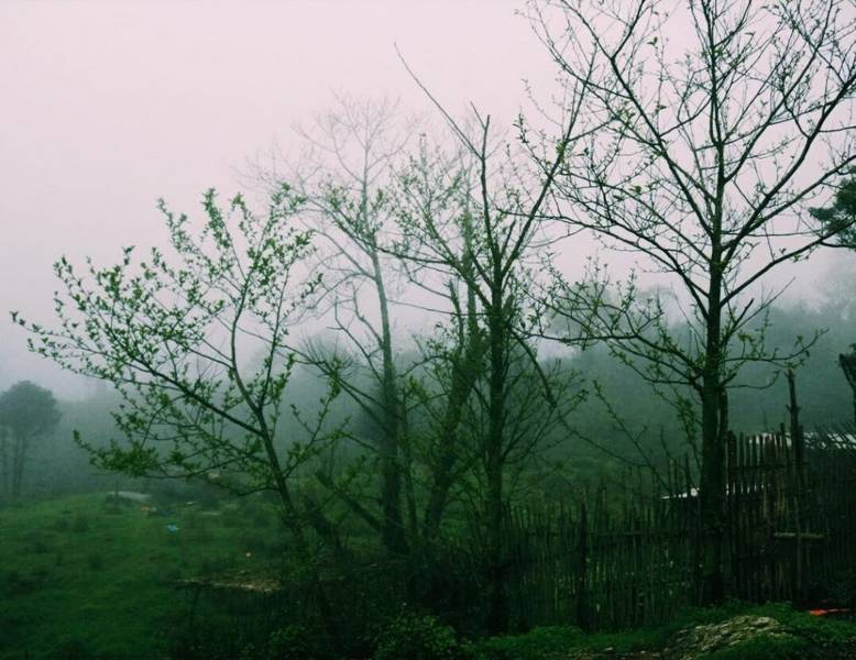 Hoàng Su Phì