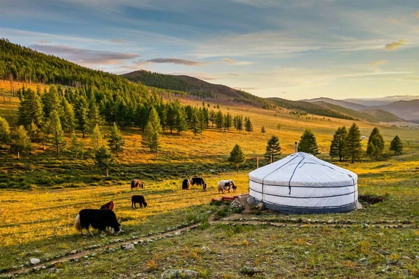 Cắm trại Ger ở Mông Cổ