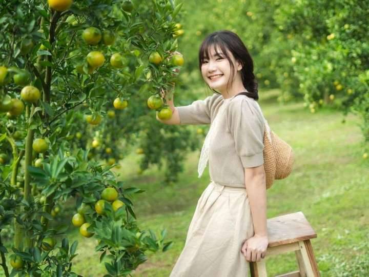  “สวนดอกไม้และสวนส้ม My Garden” ซึ่งดอกไม้หลักของที่นี่จะเป็นดอกไฮเดรนเยีย และถัดไปจะมีสวนส้มยาวออกไป ทุกคนสามารถเดินเล่น ถ่ายรูปกับต้นส้มได้
