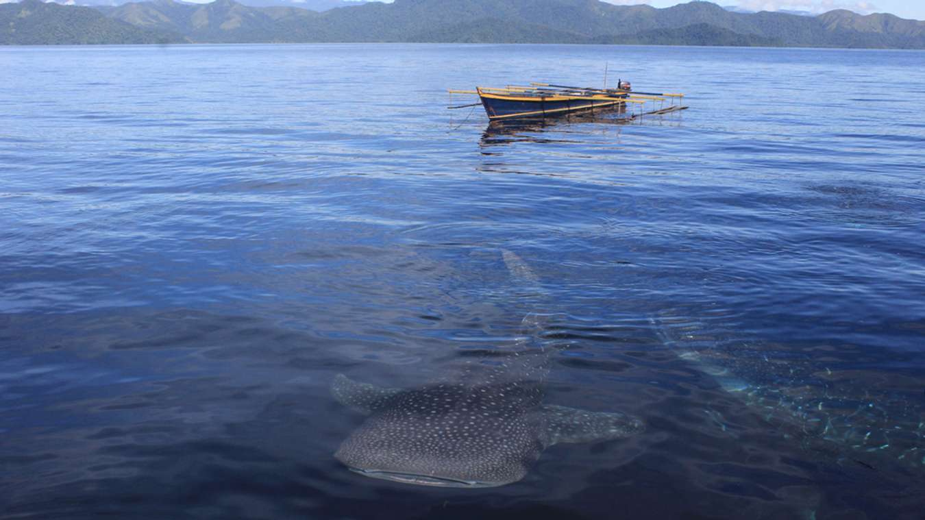 Destinasi Wisata Nabire - Kwatisore