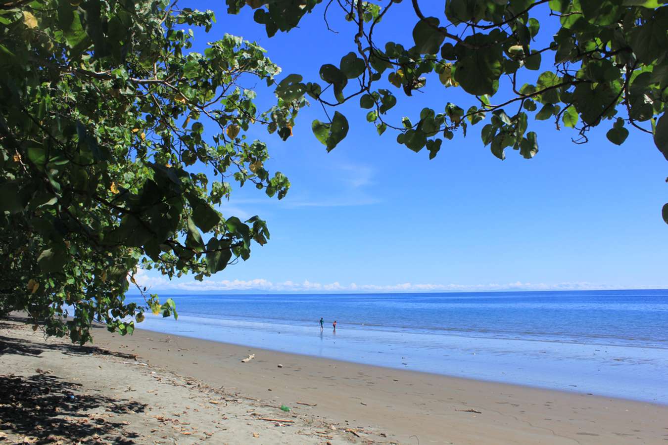 Destinasi Wisata Nabire - Pantai Gedo