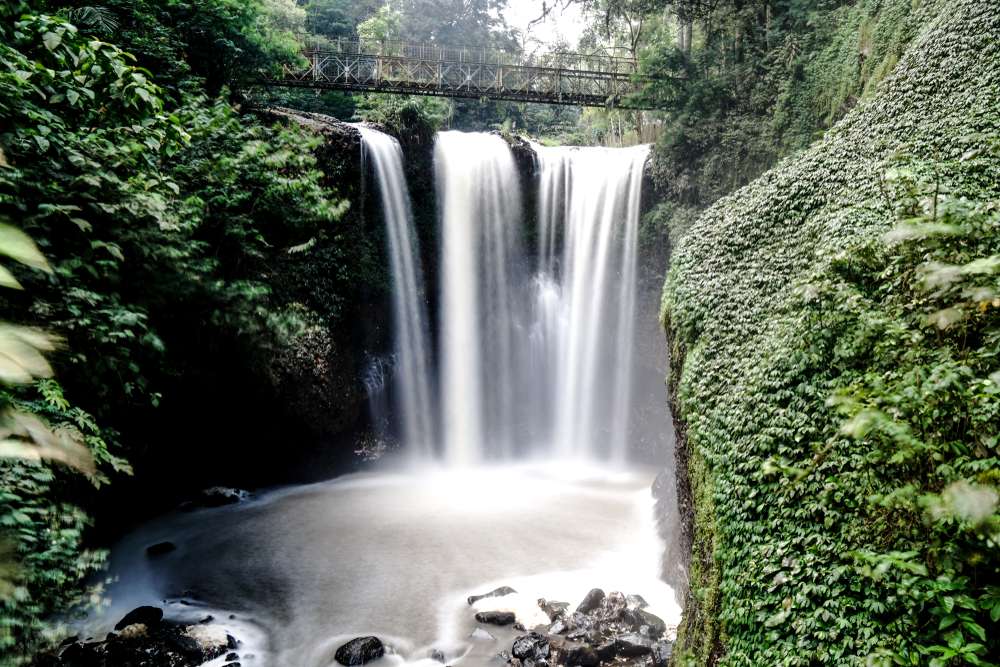 Menyaksikan Keindahan Taman Hutan Raya Juanda: Pesona Alam dan Edukasi di Bandung Timur