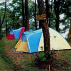 taman safari glamping