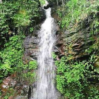 Tempat Glamping di Puncak - Alang Alang Nature Camp