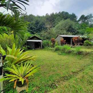 Tempat Glamping di Puncak - Herman Lantang Camp