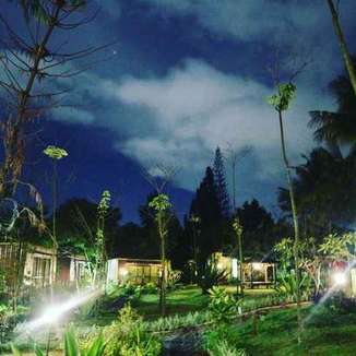 Tempat Glamping di Puncak - The Forest Cisarua