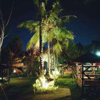 Tempat Glamping di Puncak - The Forest Cisarua