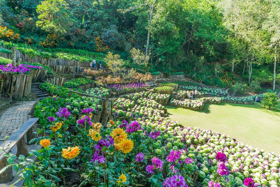 สวนรุกขชาติแม่ฟ้าหลวง