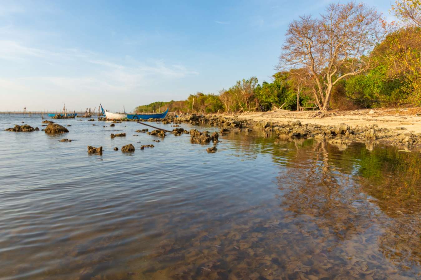 Destinasi Wisata Jepara - Pantai Teluk Awur