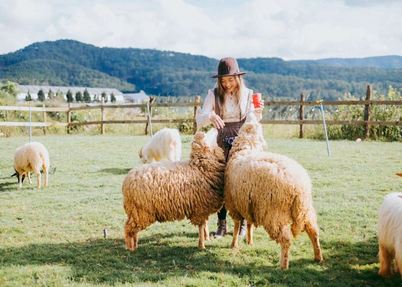 Chika Farm Đà Lạt