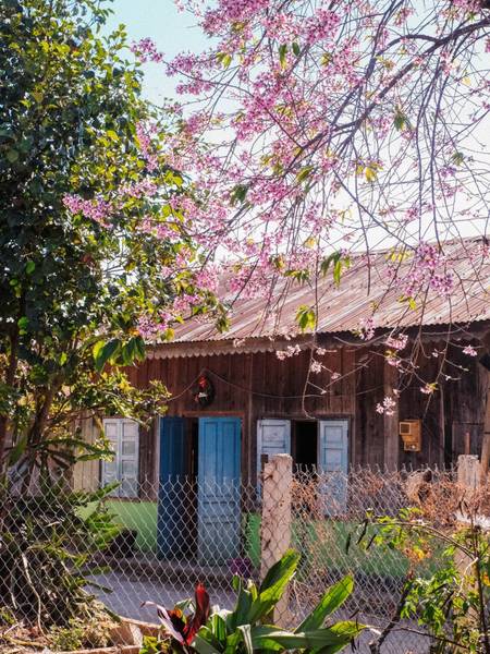 mộng đào nguyên đà lạt - 2