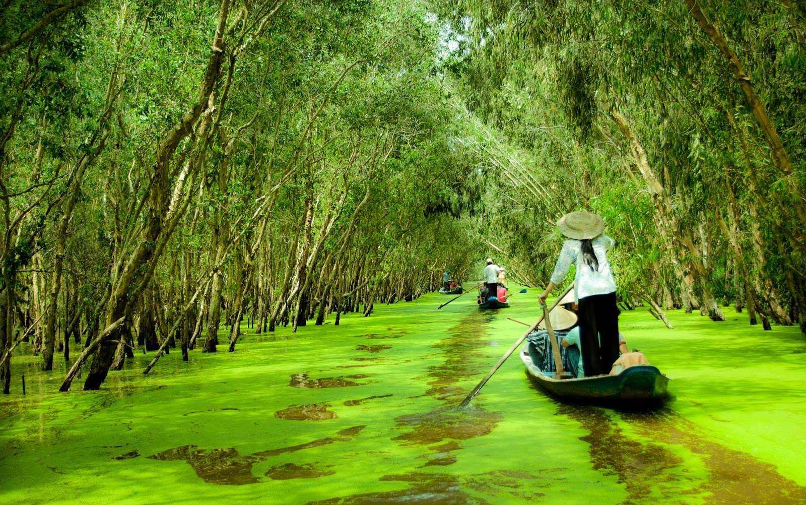 Top 10 điểm đến để khám phá An Giang - Hướng dẫn du lịch An Giang