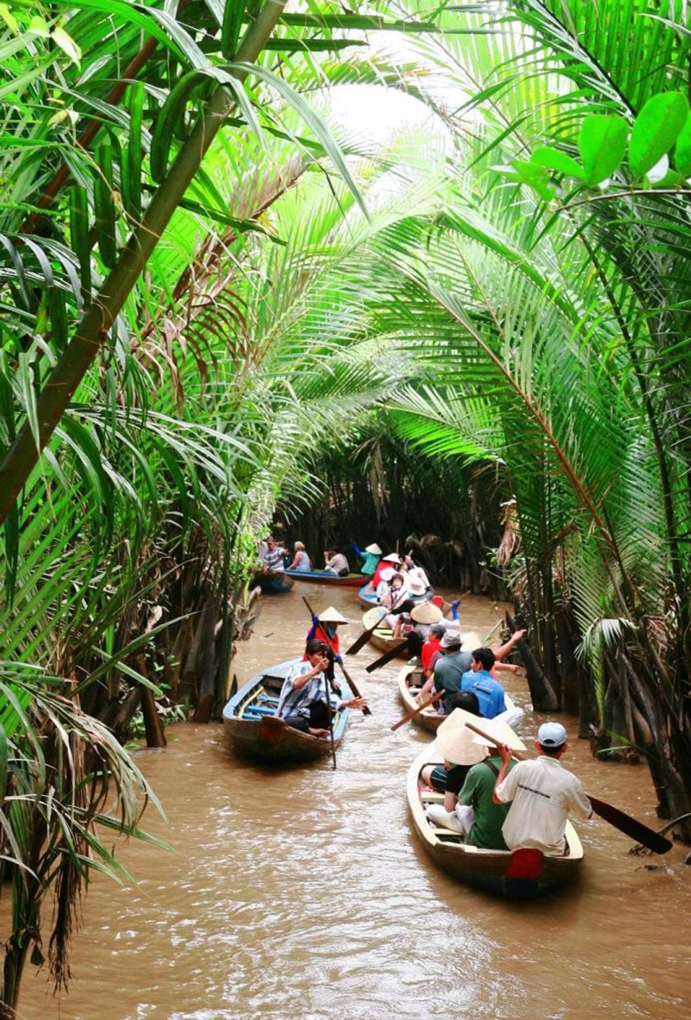 Chèo thuyền khám phá sông Tiền tại Cồn Quy