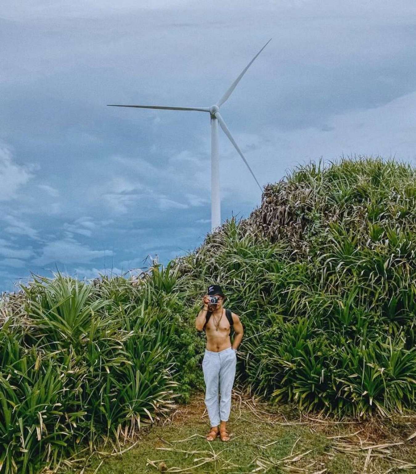 Cánh đồng quạt gió trên đảo Phú Quý