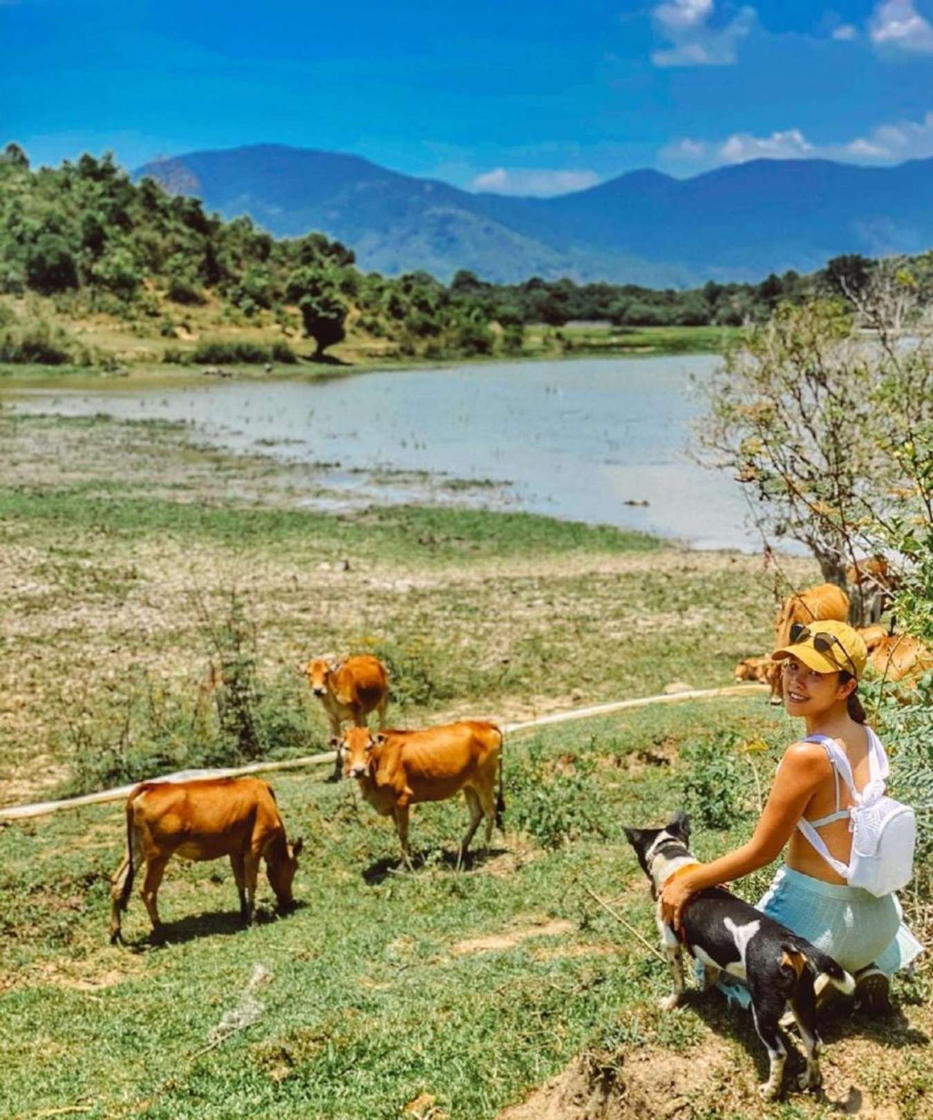 Rừng cây quanh hồ Lắk