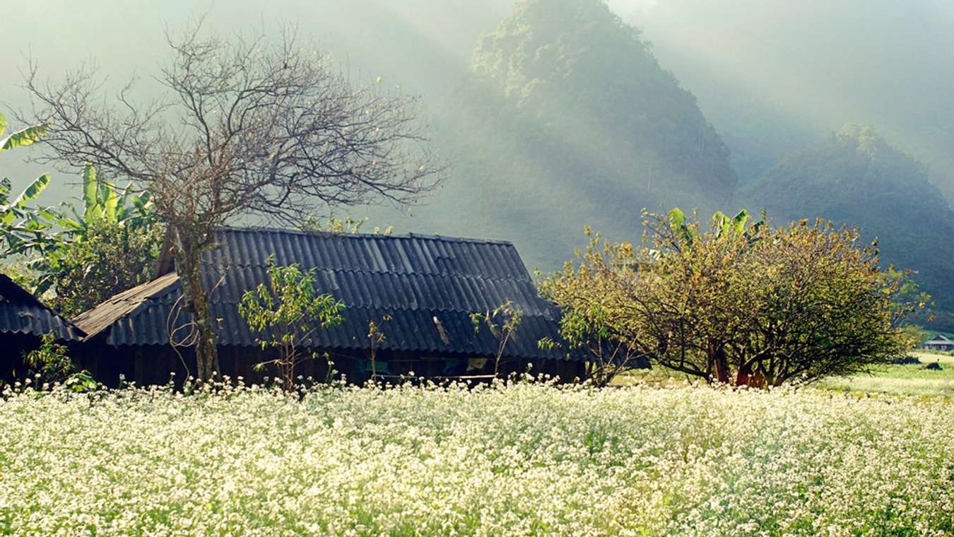 Du lịch Sơn La: Khám phá vẻ đẹp hoang sơ của vùng đất miền núi trong chuyến du lịch đến Sơn La. Đắm mình trong cảnh sắc hữu tình, thưởng thức đặc sản tuyệt vời và khám phá nền văn hóa phong phú của đồng bào dân tộc.