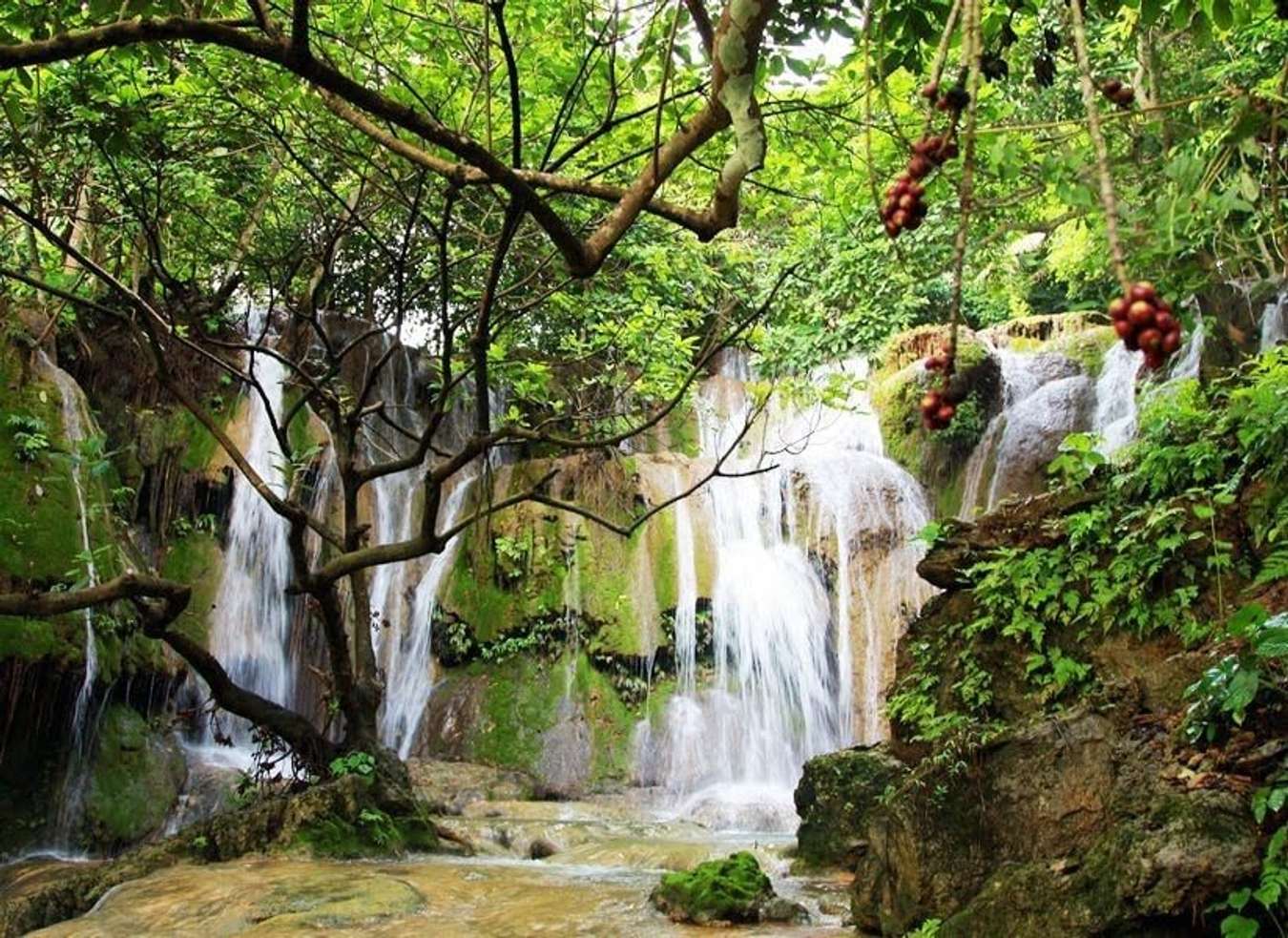 Thiên nhiên hoang sơ bên trong thác Voi là nơi check-in lý tưởng của nhiều tín đồ. @internet