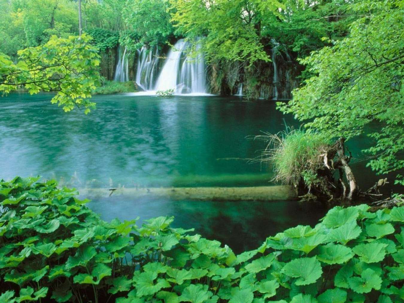 Làn nước xanh trong tại vườn quốc gia Bến En. @internet