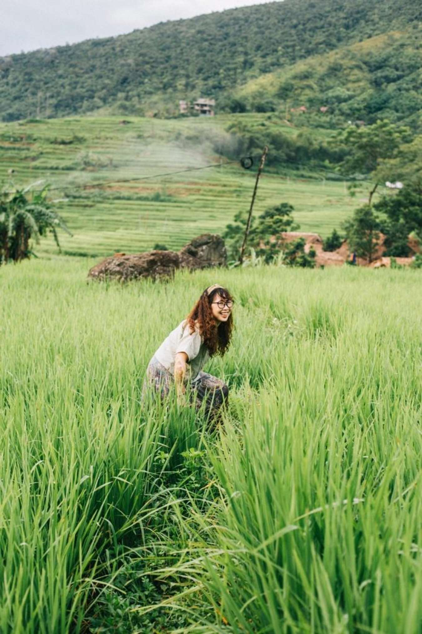 Màu lúa tại Pù Luông