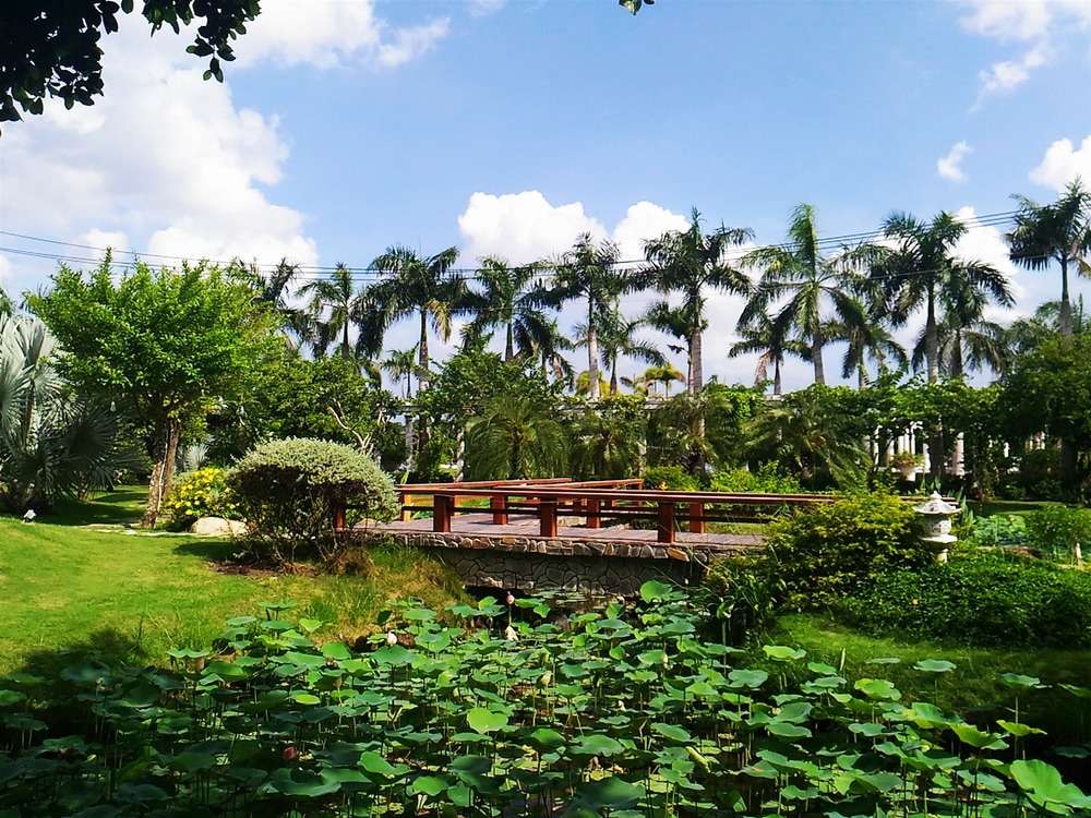 Du lịch Ẩm thực Đặc sản miền Tây - Trà Vinh liên hệ 0915326788 https://mientaynet.com/netnguoimientay/