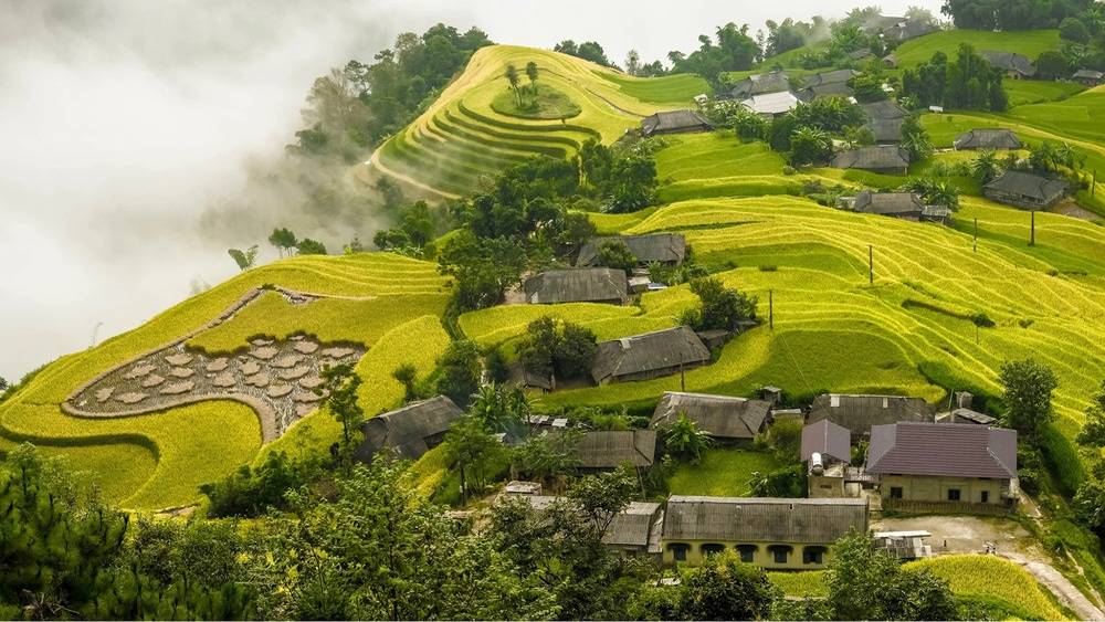Mùa lúa chín tại Hoàng Su Phì
