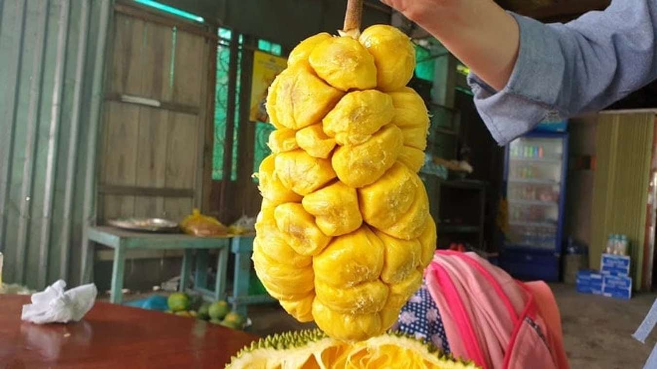 Mít tố nữ Long Khánh