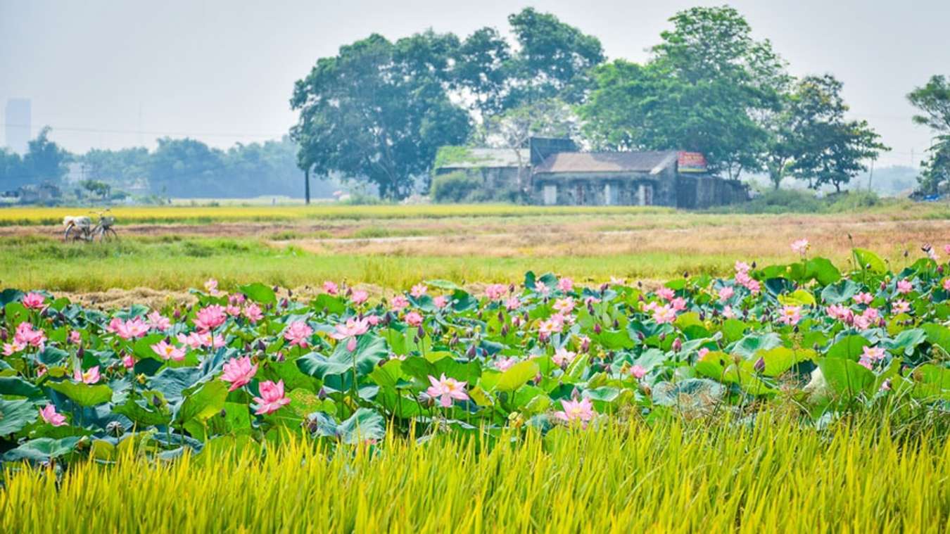 Vẻ đẹp yên bình của Nam Định