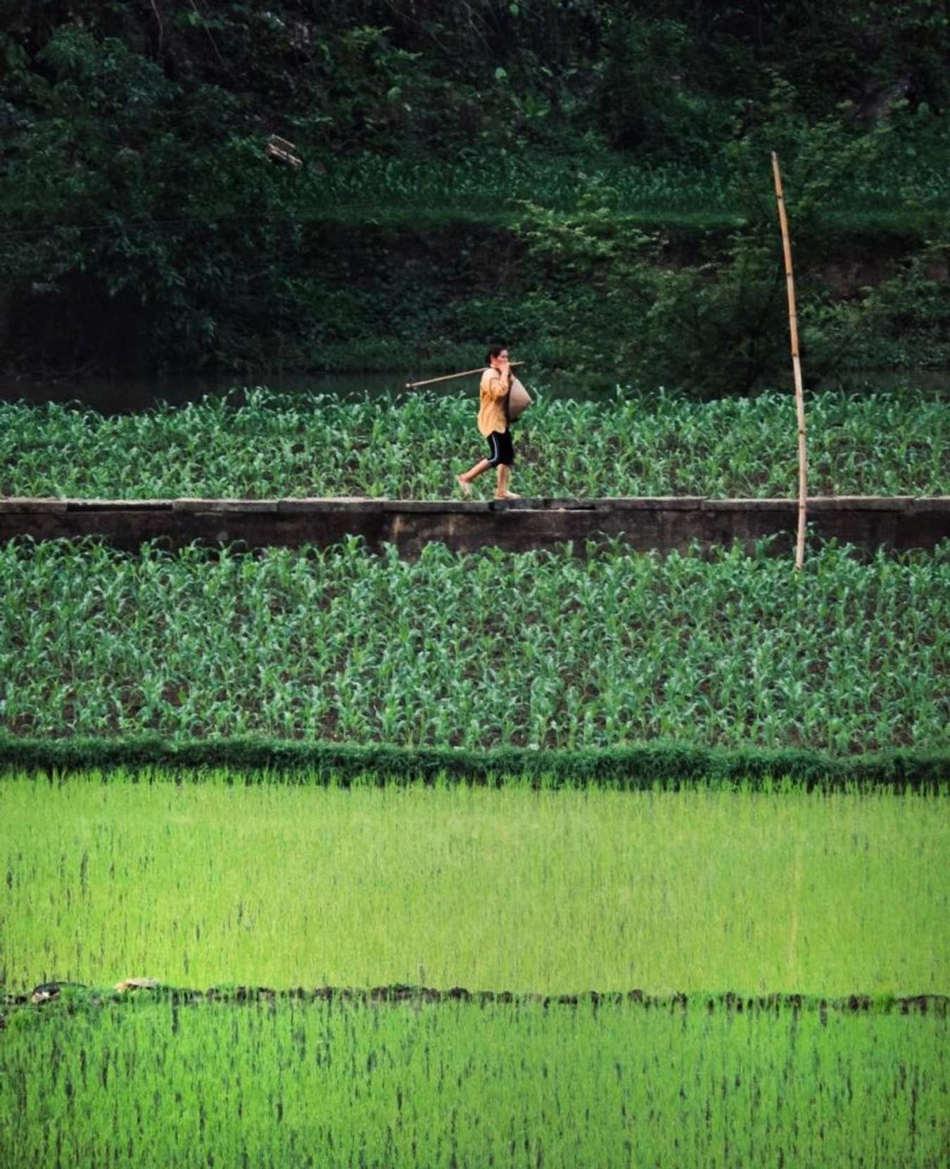 Người dân bản Pác Ngòi