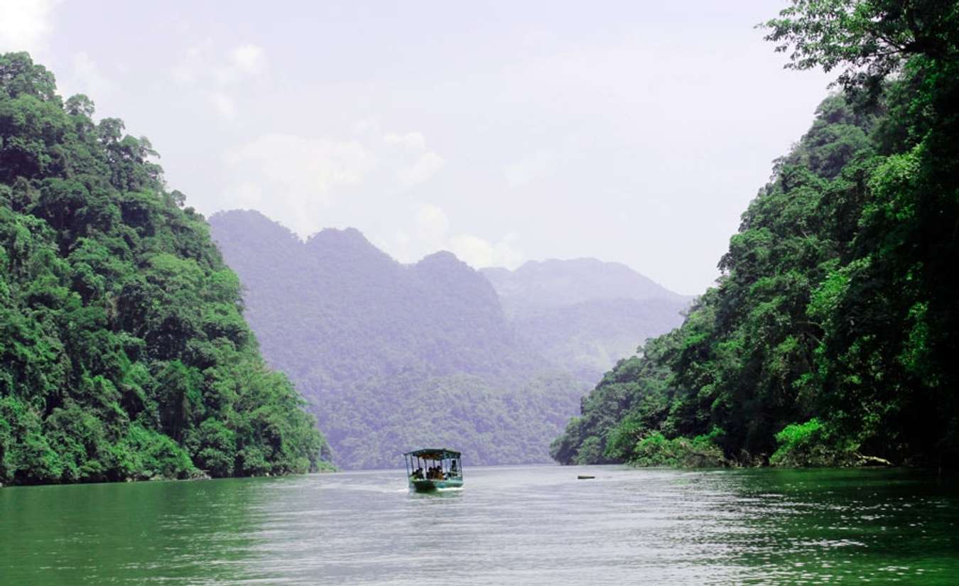 Rừng nguyên sinh tại Kim Hỷ hùng vĩ