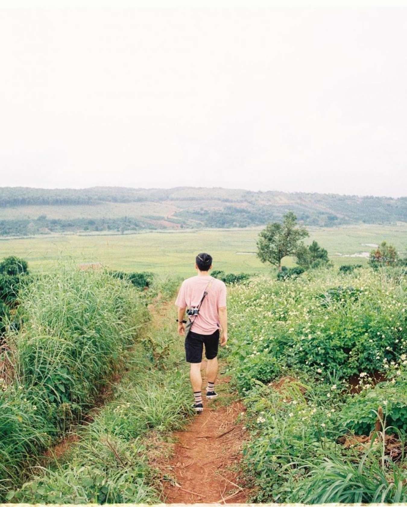 Thiên nhiên hoang sơ trên núi Đá Pleiku