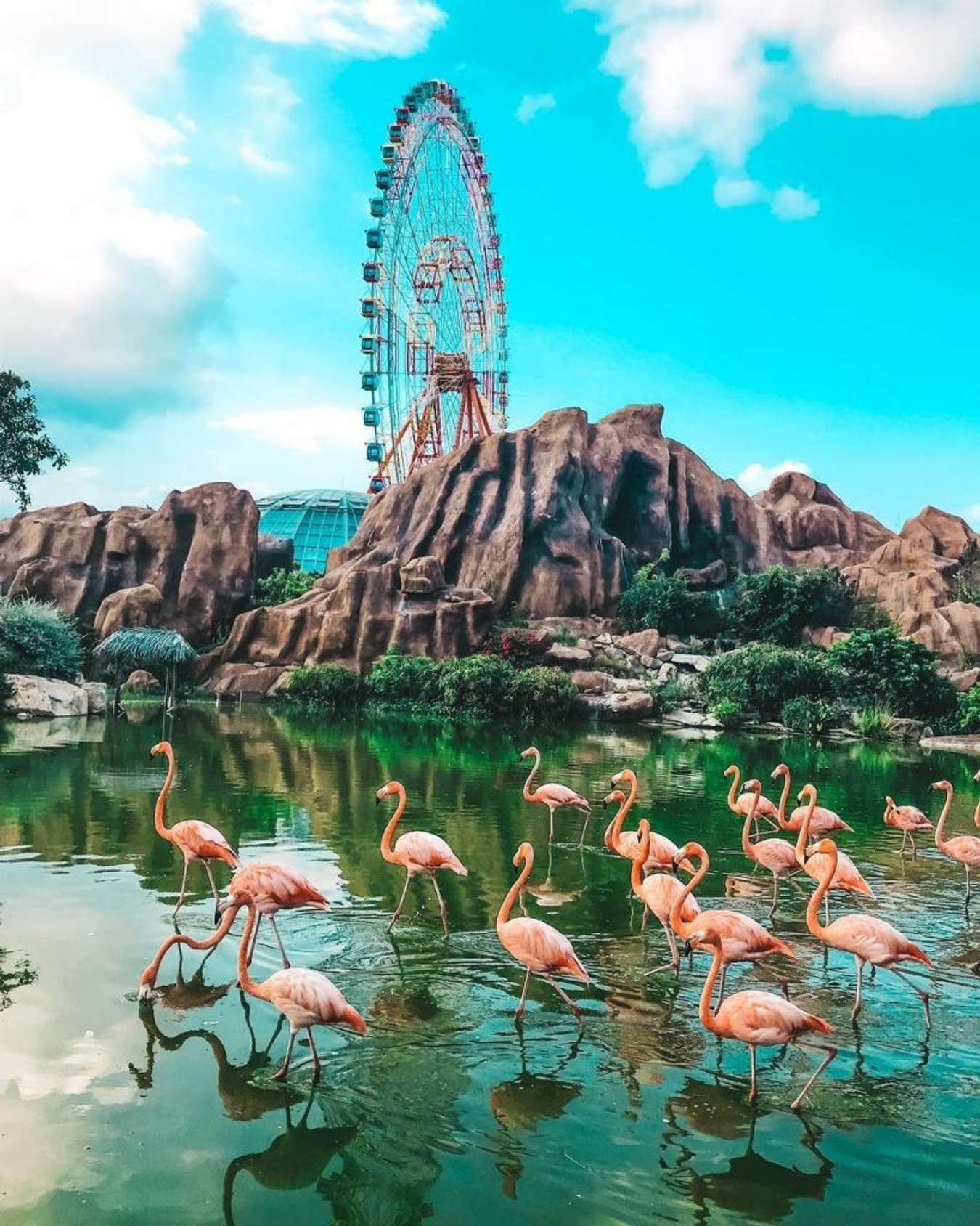 Vườn hồng hạc tại Vinpearl Land Nha Trang