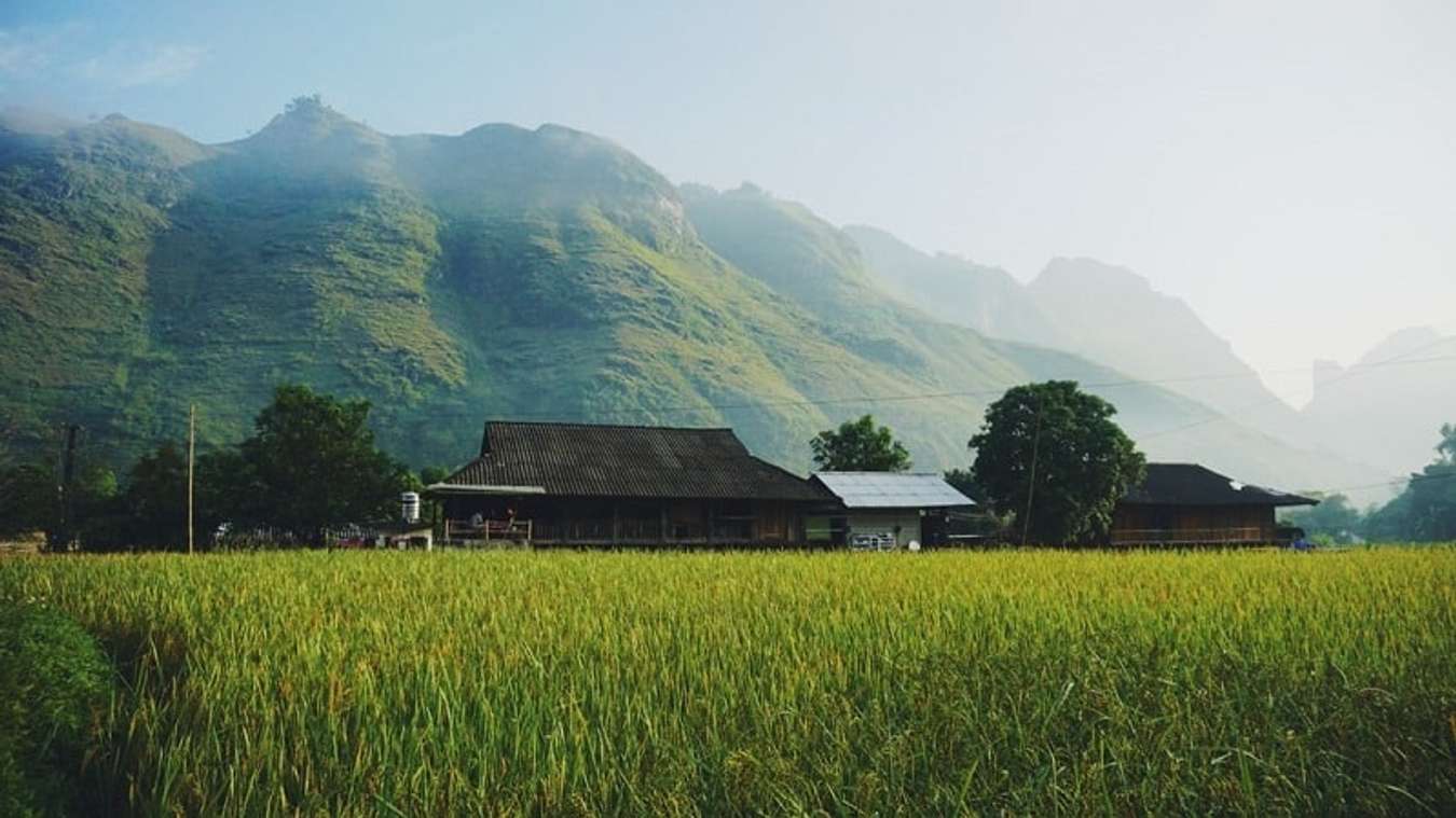 Khám phá du lịch sinh thái khiến lòng bạn đắm say giữa thiên nhiên hoang sơ xanh tươi, cảm nhận tinh thần thư giãn và hài lòng. Tham quan các điểm đến du lịch cực kỳ hấp dẫn và đa dạng, bạn sẽ không khỏi bị thu hút bởi những cảnh đẹp tuyệt vời trong từng hình ảnh.