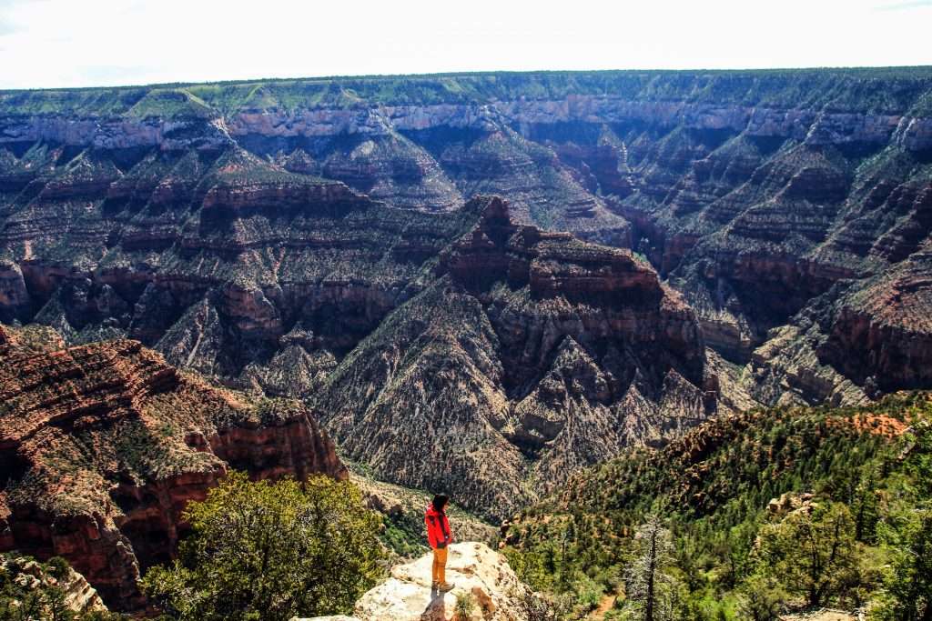 Kinh nghiệm du lịch Grand Canyon chi tiết, đầy đủ nhất 2022 ...