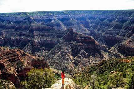 Kinh nghiệm du lịch Grand Canyon chi tiết, đầy đủ nhất, Traveloka VN