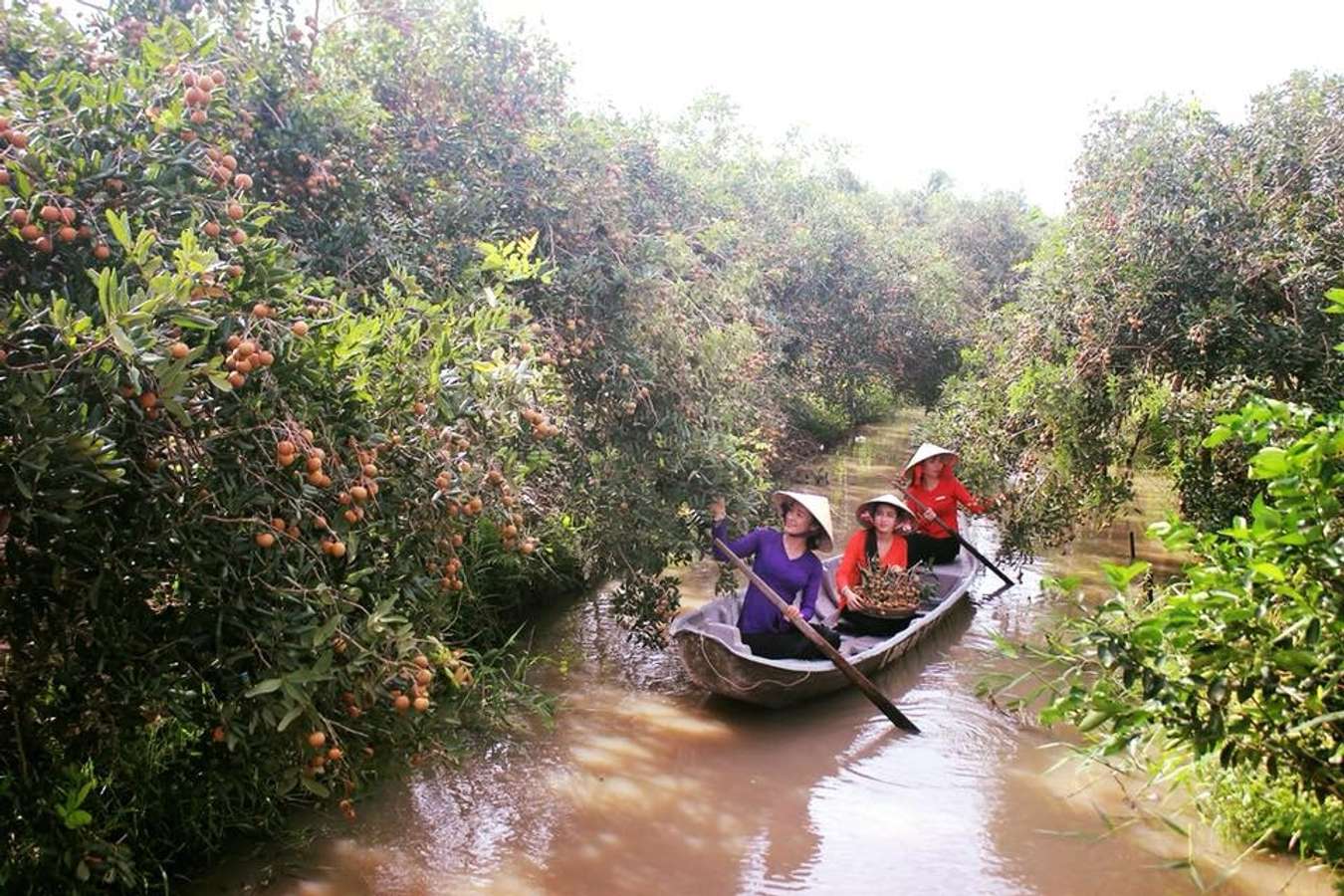 Chèo thuyển hái trái cây tại Mỹ Khánh