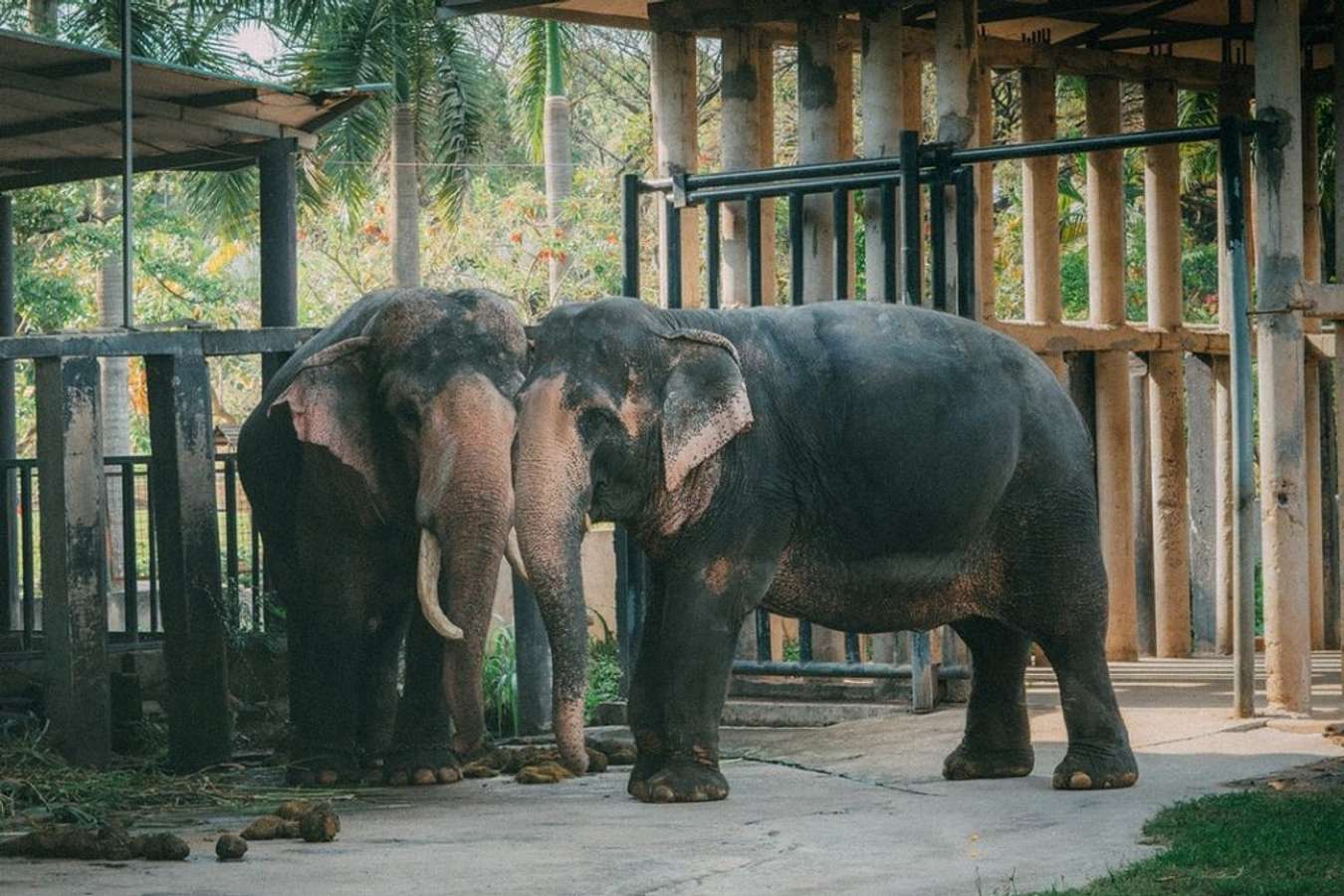 Khám phá khu du lịch sinh thái Vườn Xoài - điểm đến thú vị tại ...