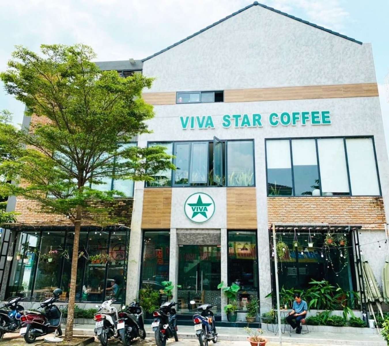 Viva Star Coffee 1