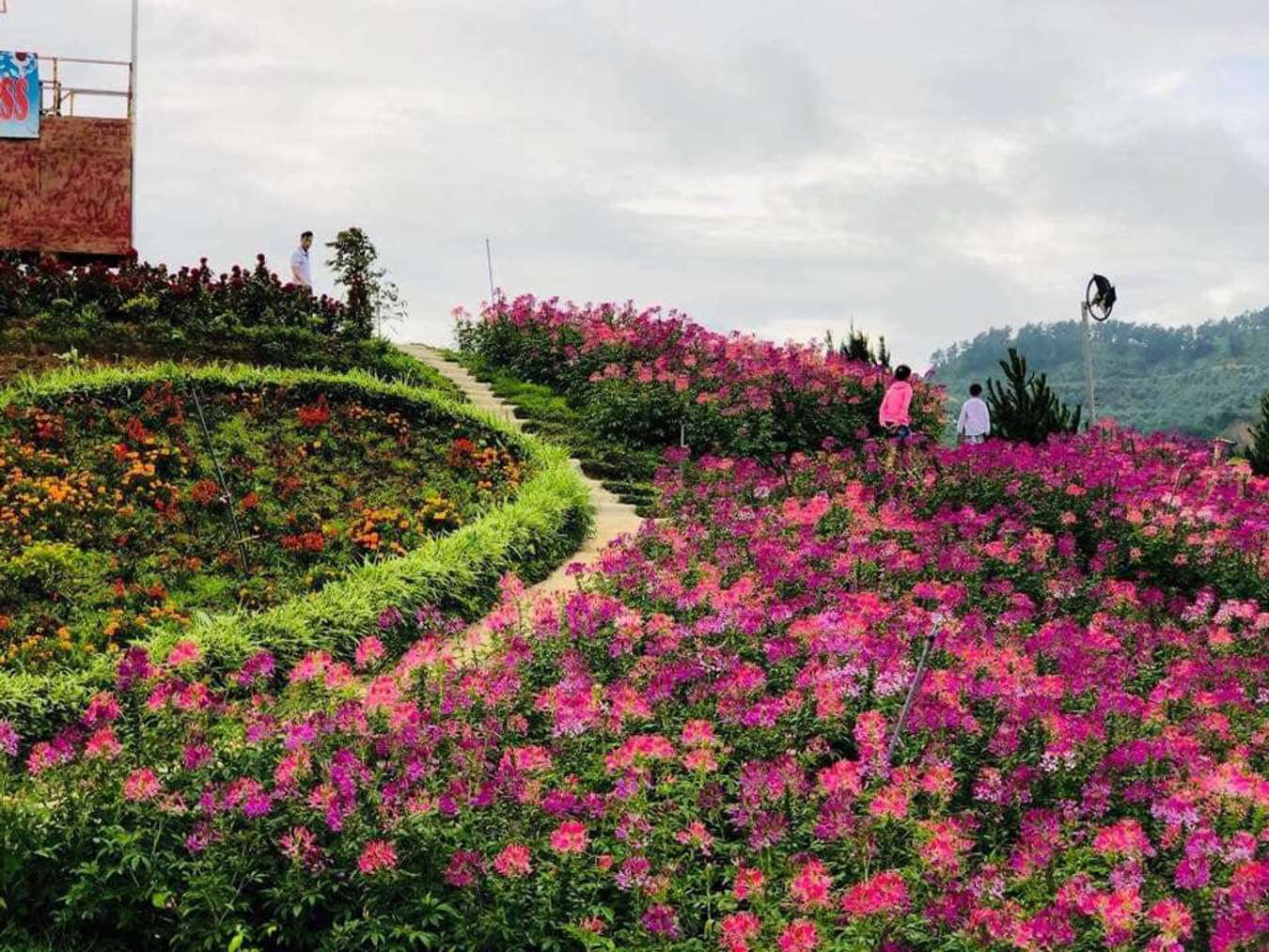 Khu du lịch Pha Đin Pass