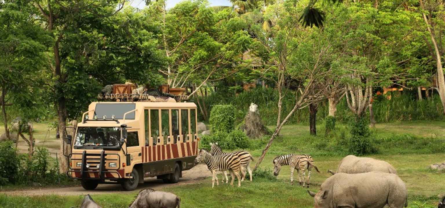 bali zoo vs bali safari park