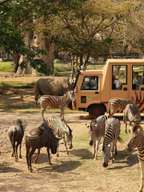 bali zoo vs bali safari park