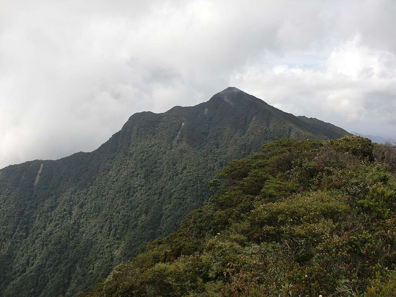 Gunung Tertinggi di Malaysia - Gunung Korbu