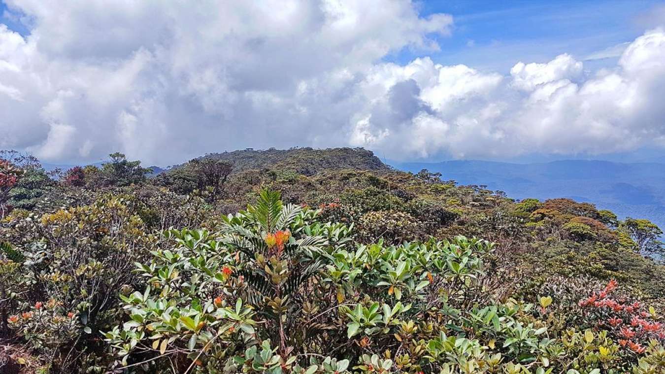 Gunung Tertinggi di Malaysia - Gunung Murud