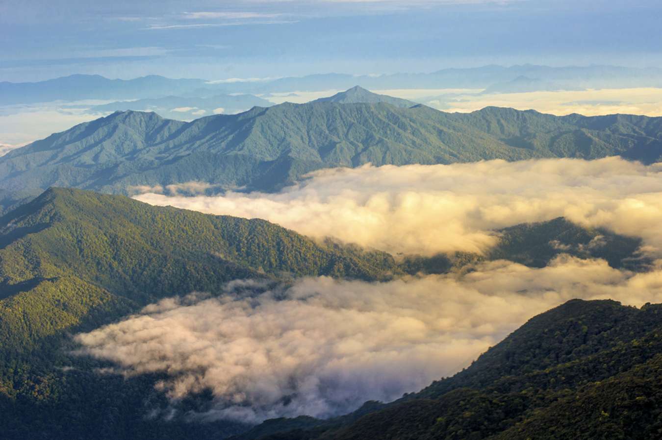 Gunung Tertinggi di Malaysia - Gunung Tahan