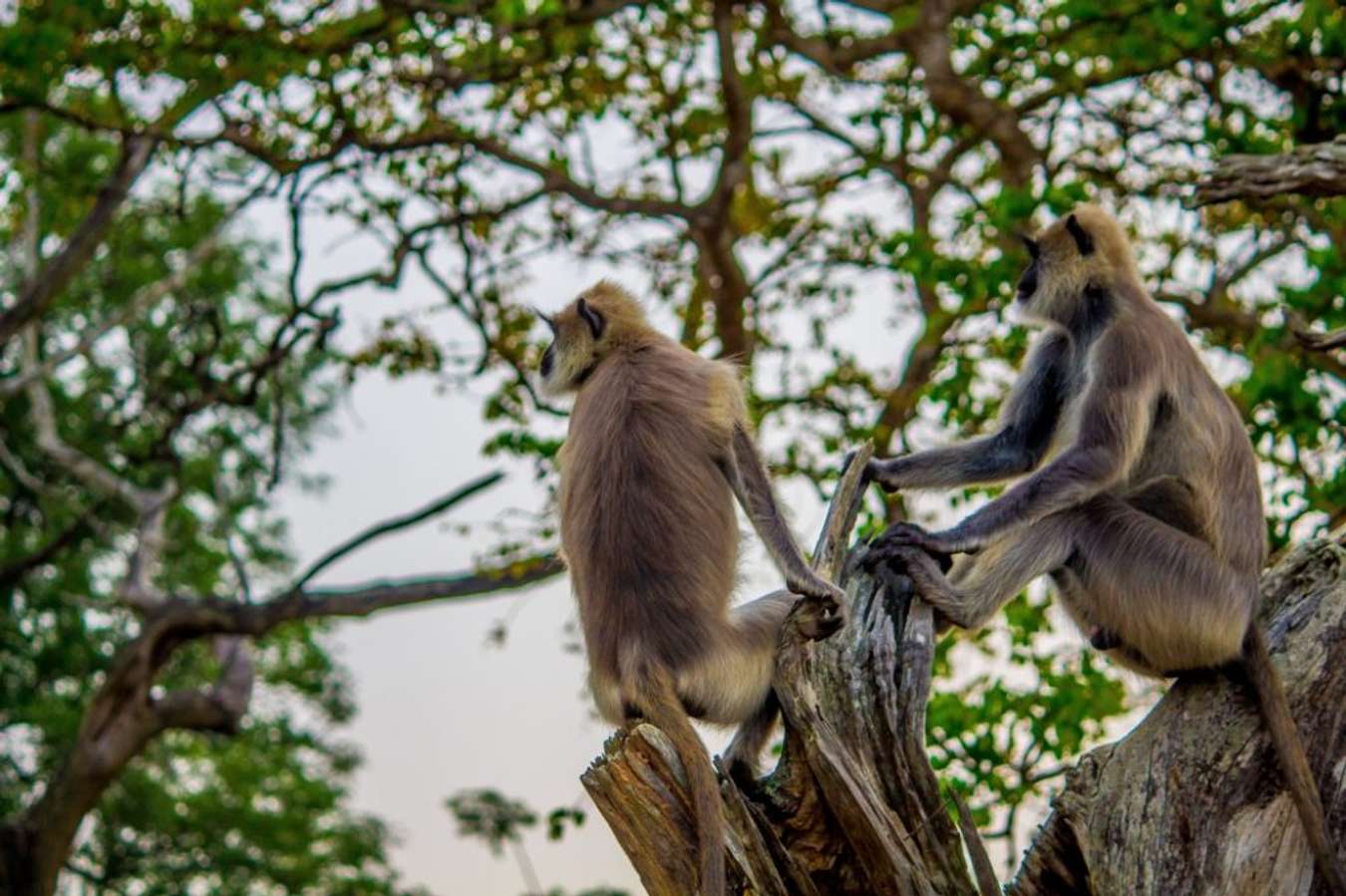 green tourism yang ada di indonesia