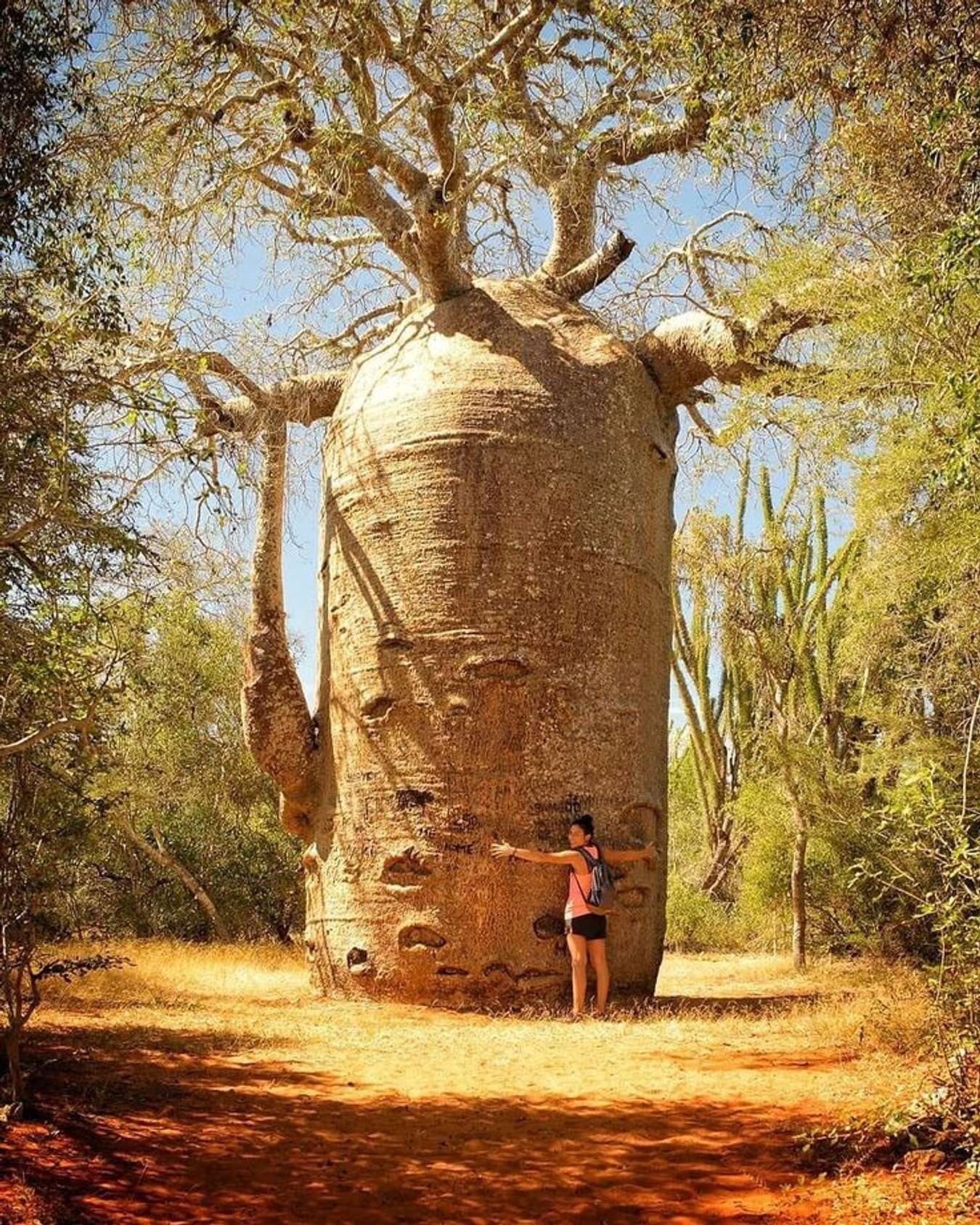 Kinh nghiệm du lịch Madagascar, ngắm miền hoang dã nhất trên thế giới Kinh Nghiệm Du Lịch Madagascar, Ngắm Miền Hoang Dã Nhất Trên Thế Giới