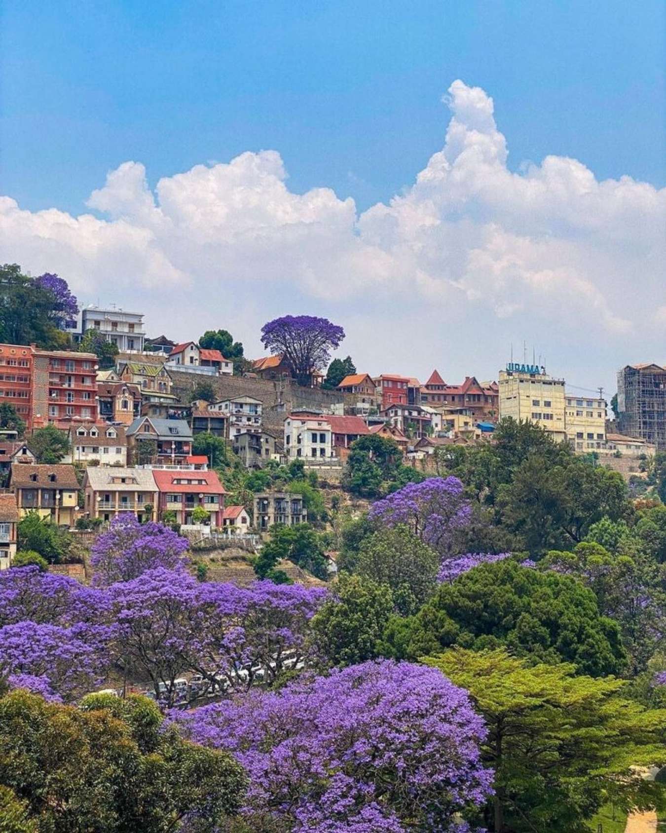 Kinh nghiệm du lịch Madagascar, ngắm miền hoang dã nhất trên thế giới Kinh Nghiệm Du Lịch Madagascar, Ngắm Miền Hoang Dã Nhất Trên Thế Giới